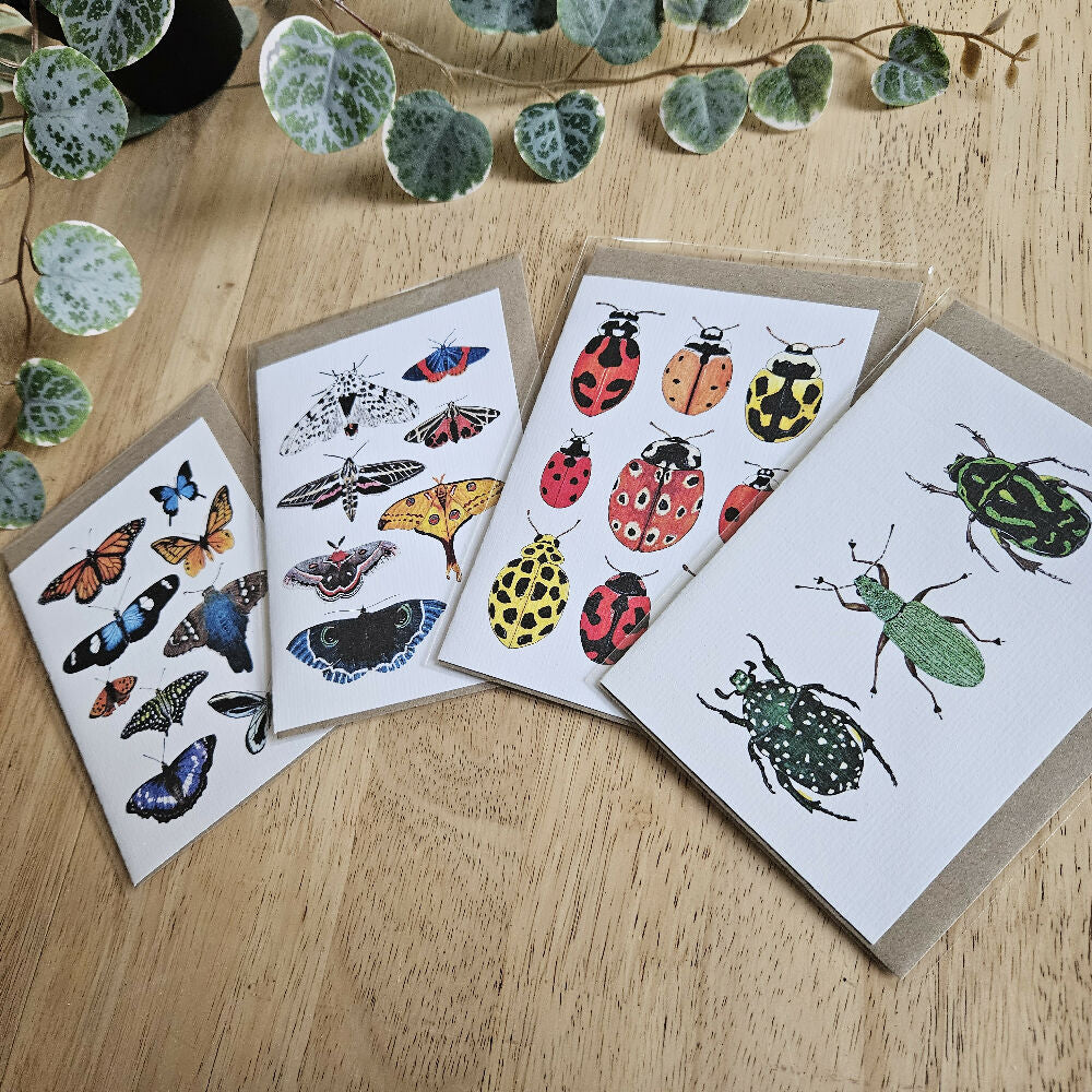 Watercolour Greeting Cards - Insect Collages - Set of 4