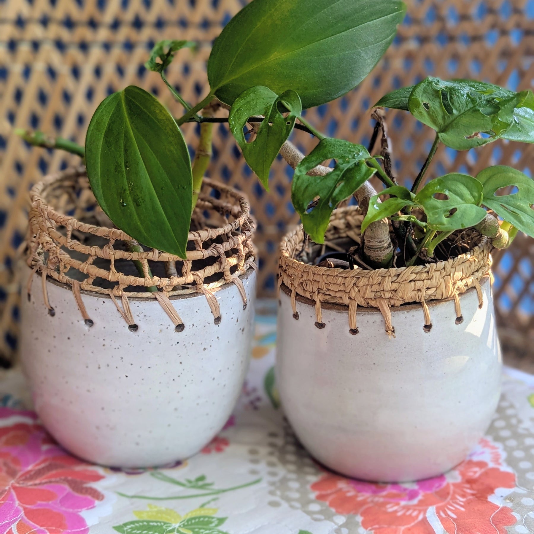 Clay Planter Pots with Woven Edge |  Basketry Detail |Recycled Circular Clay Seagrass Raffia|