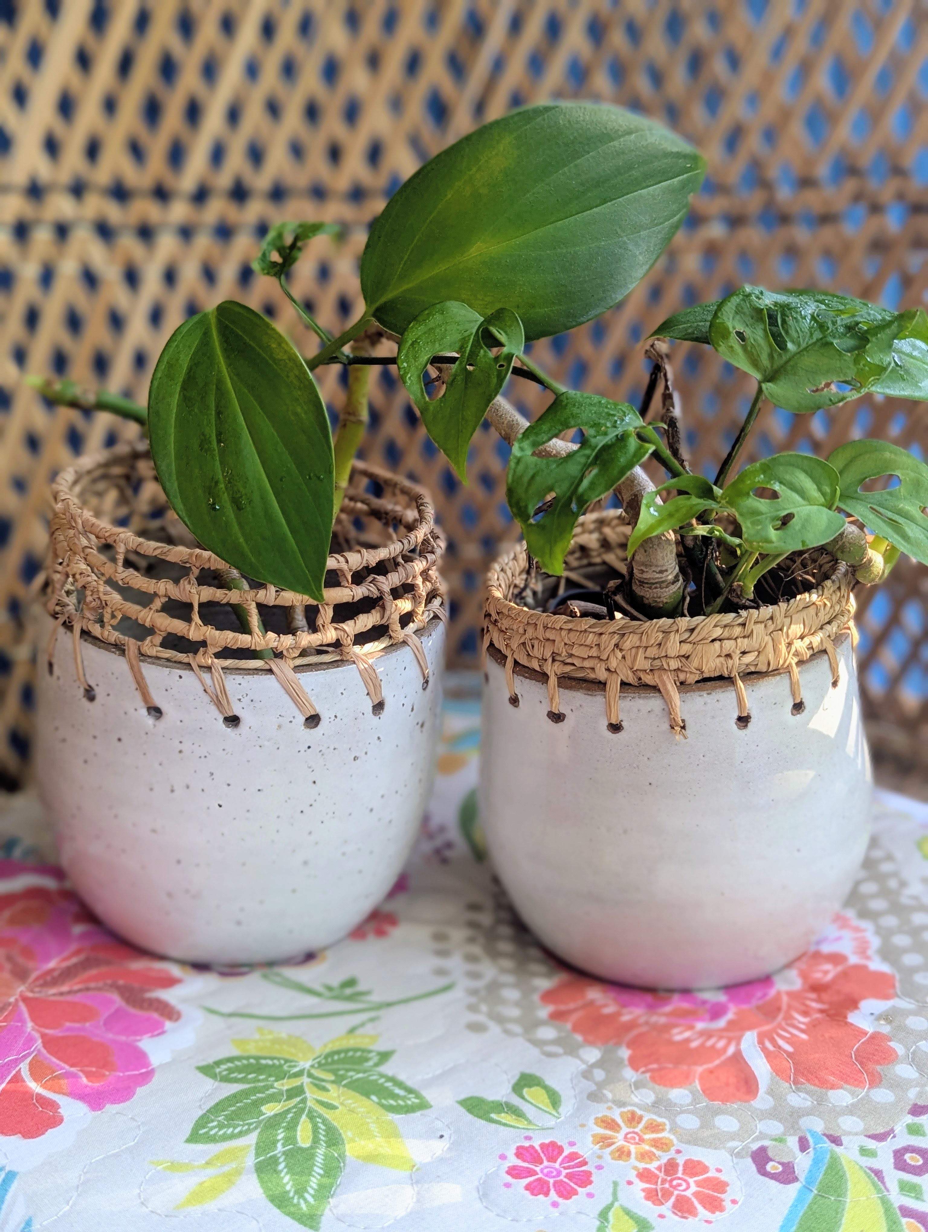 Clay Planter Pots with Woven Edge |  Basketry Detail |Recycled Circular Clay Seagrass Raffia|