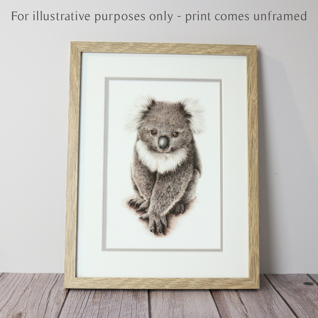 Koala | Australian Wildlife Art Print