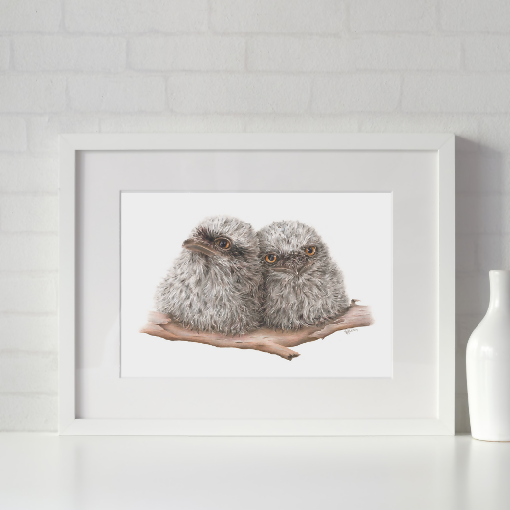 Australian-artist-wall-art-tawny-frogmouth-chicks-framed