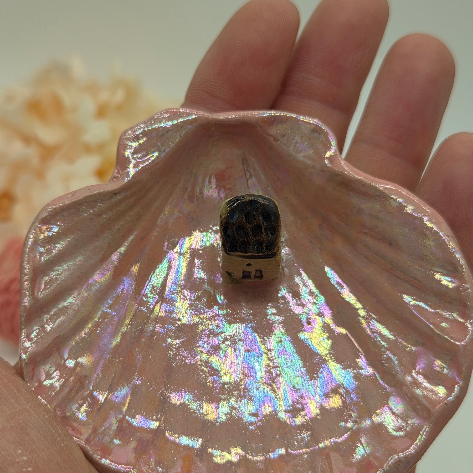 Irridescent Seashell Ring Dish - Brown Roof House