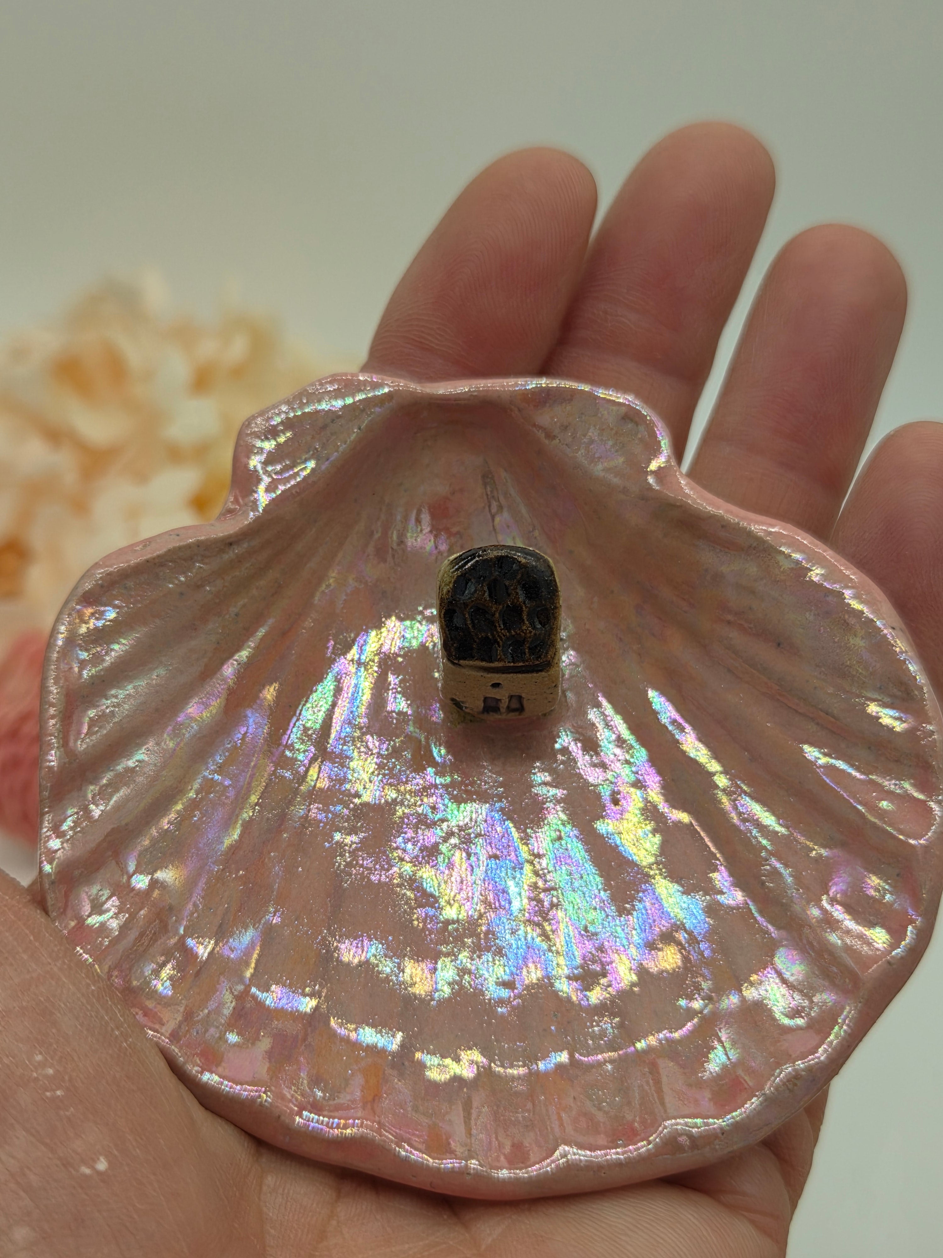 Irridescent Seashell Ring Dish - Brown Roof House