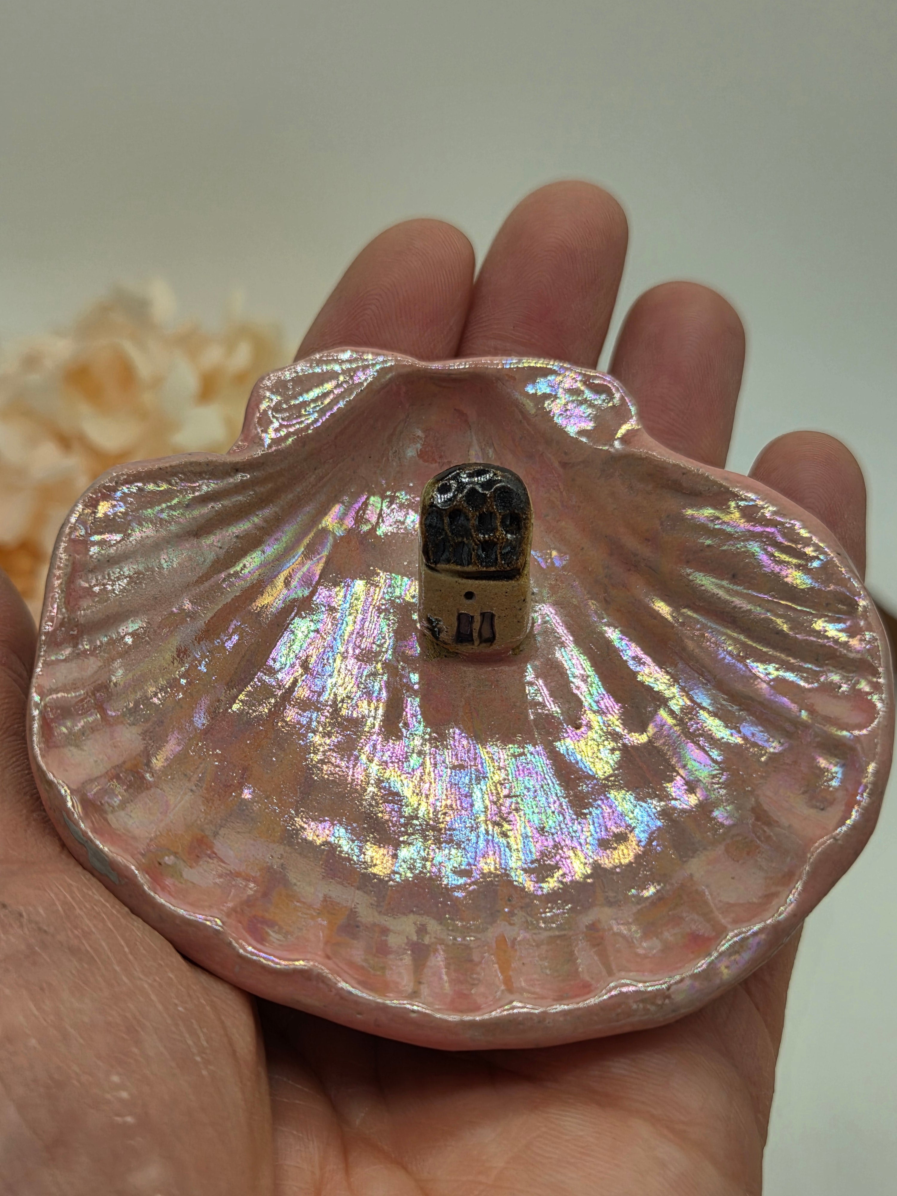 Irridescent Seashell Ring Dish - Brown Roof House