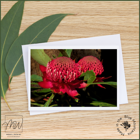 Blank Greeting Card - Waratahs