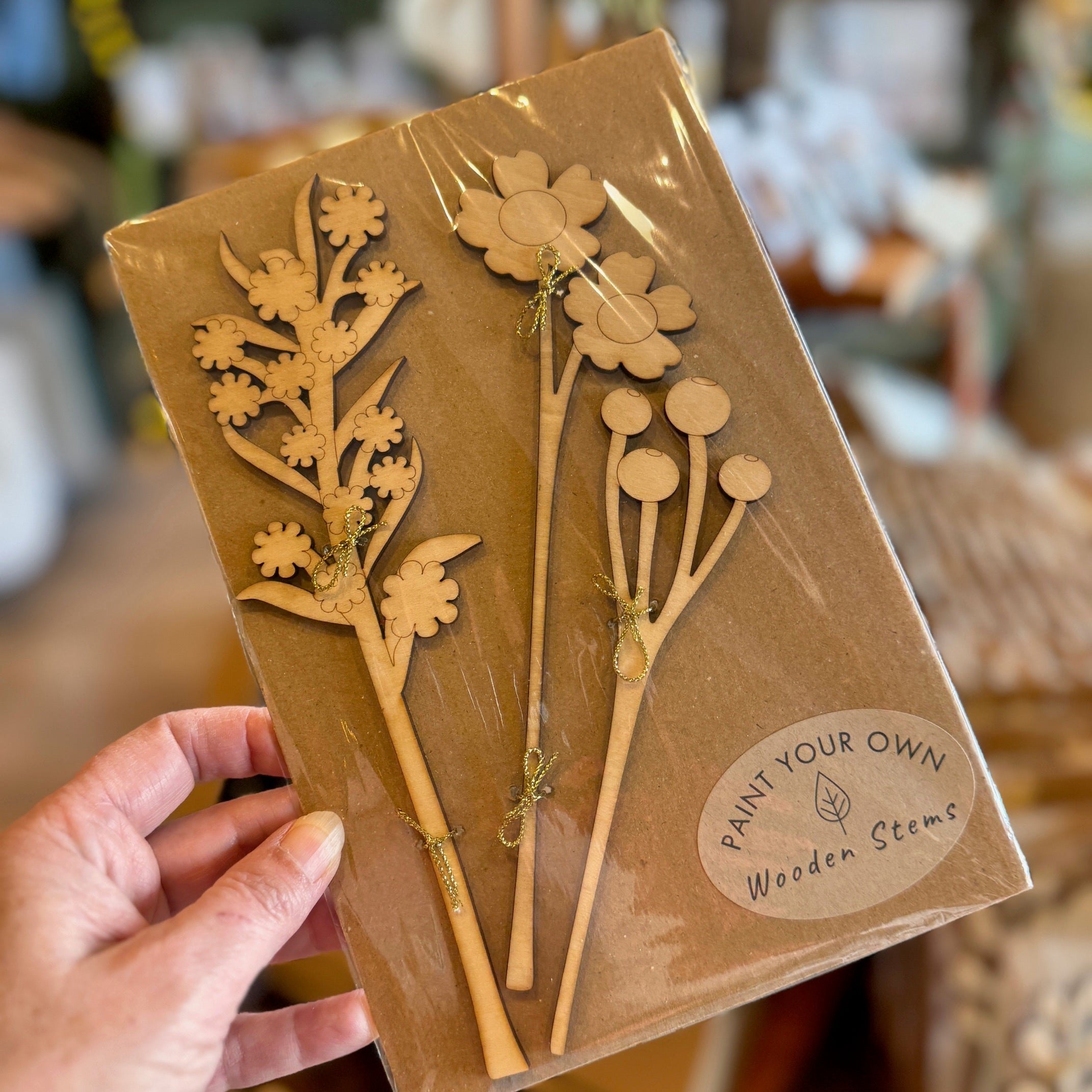 Paint Your Own Everlasting Wooden Stems - Stems only