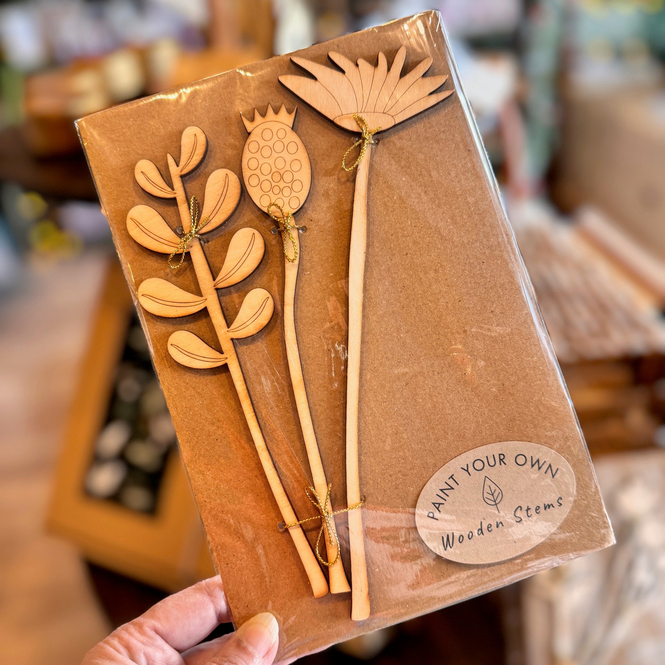 Paint Your Own Everlasting Wooden Stems - Stems only