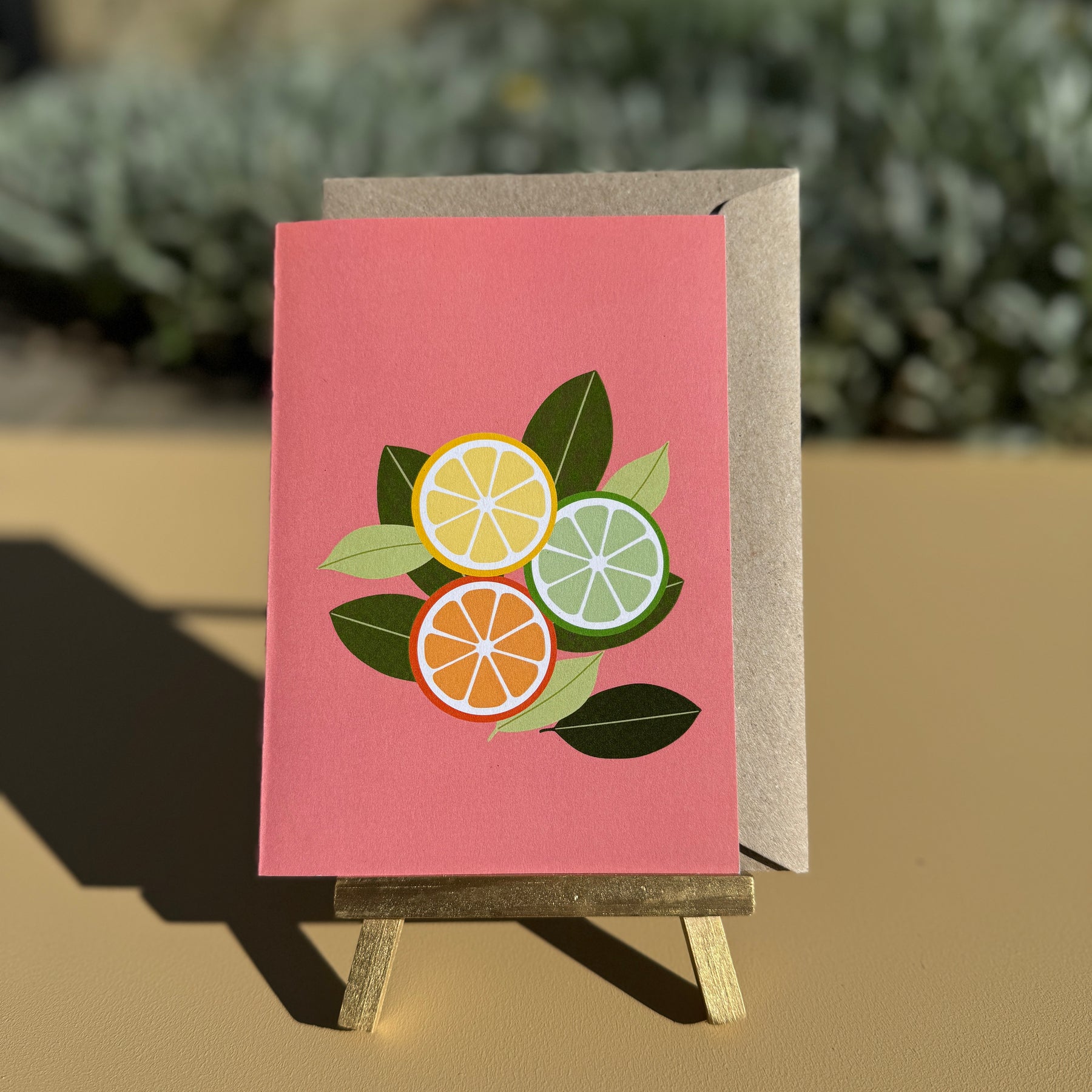 Greeting Cards Wattle, Gumnut Blossom, Black cockatoo & Citrus 4 pack