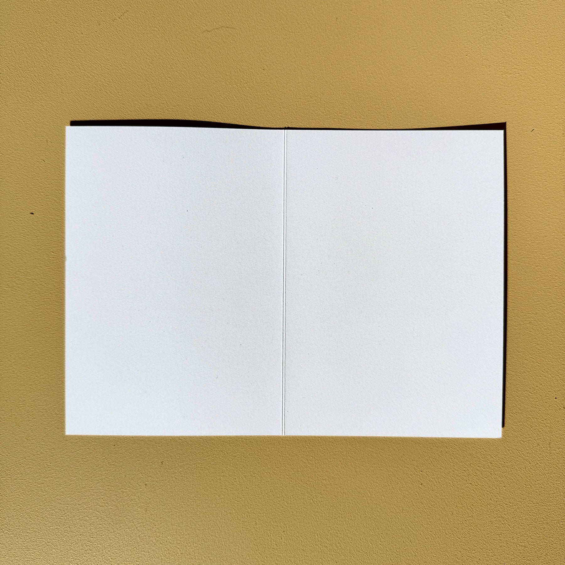 Greeting Cards Australian Wattle 4 pack