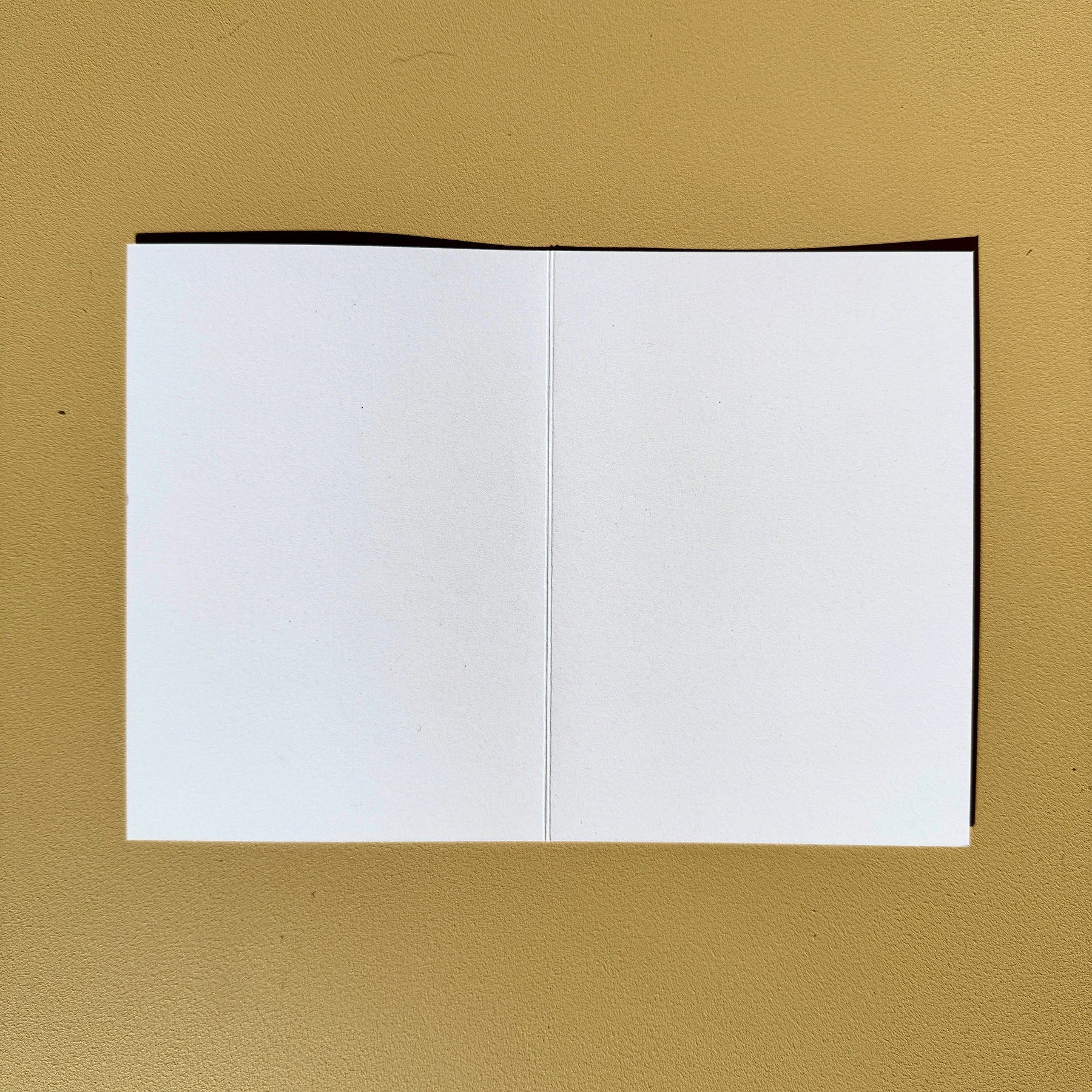 Greeting Cards Citrus 4 pack