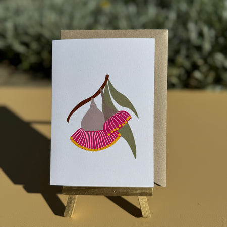 Greeting Cards Australian Gumnut Blossom 4 pack