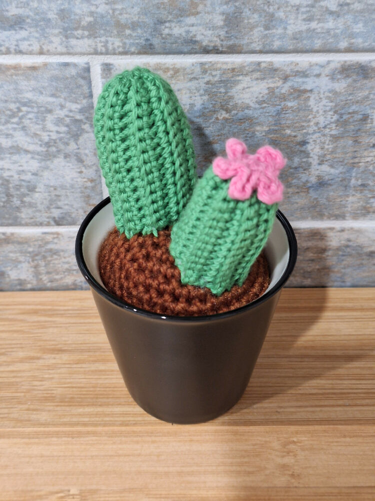 crocheted succulents room decoration