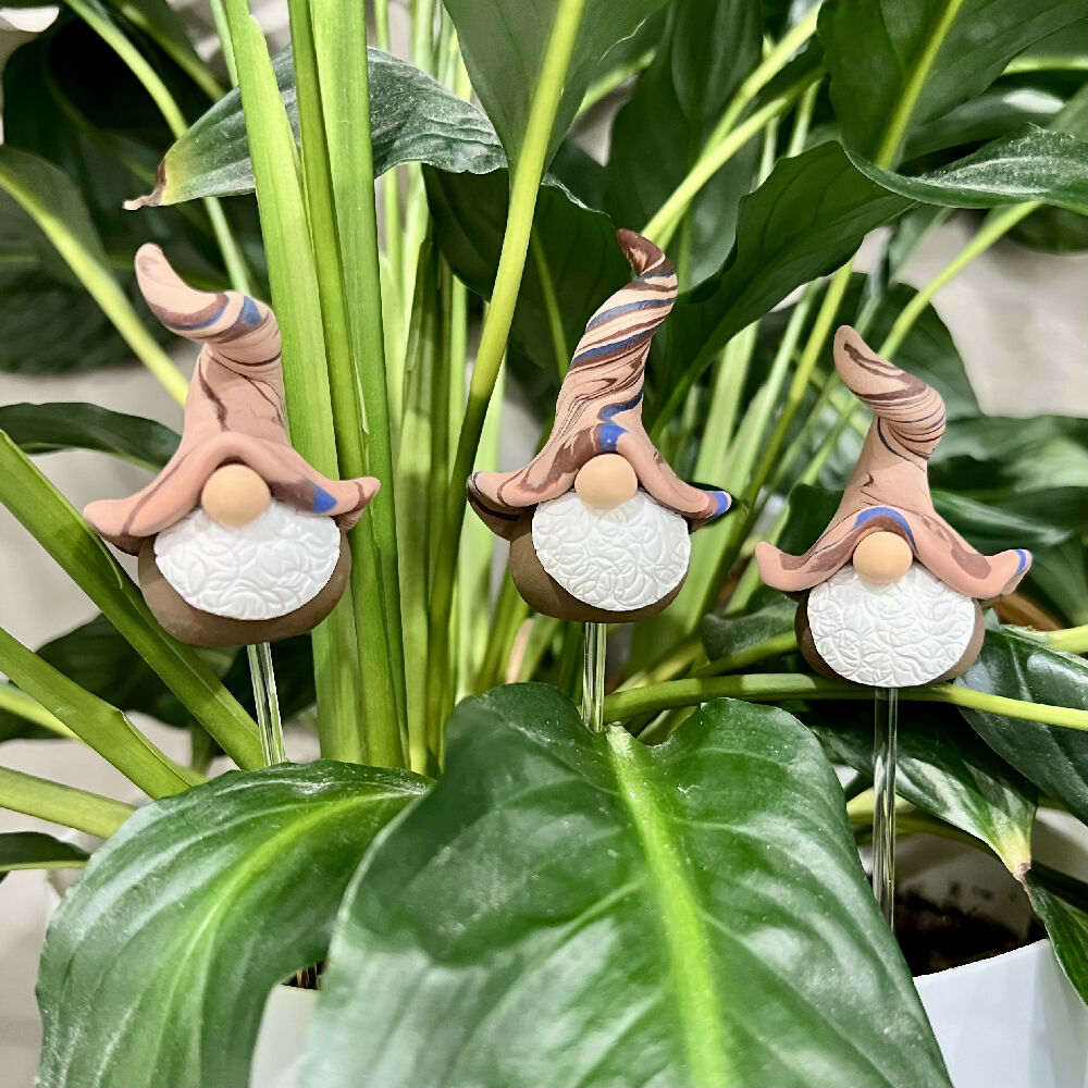 gnome-plant-companion