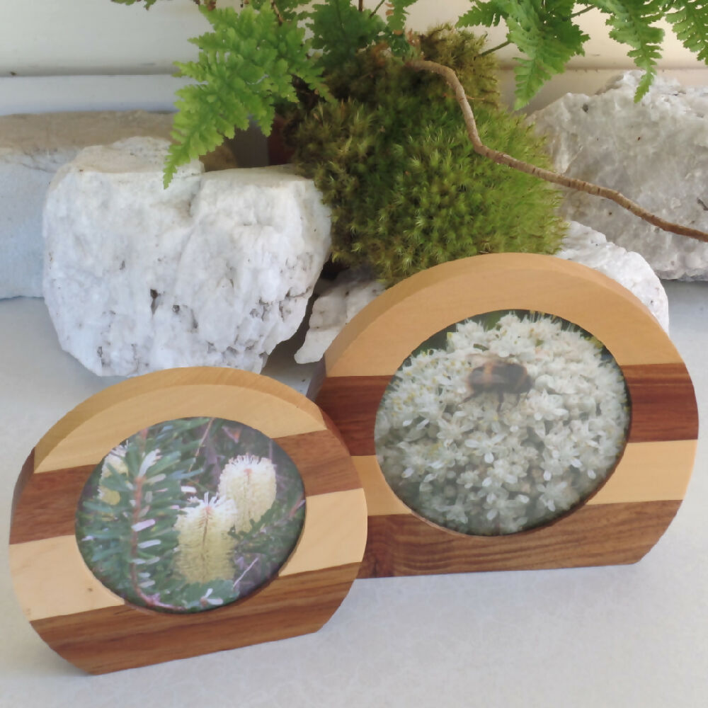 Photo Frame Set- Tasmanian Blackwood & Huon Pine