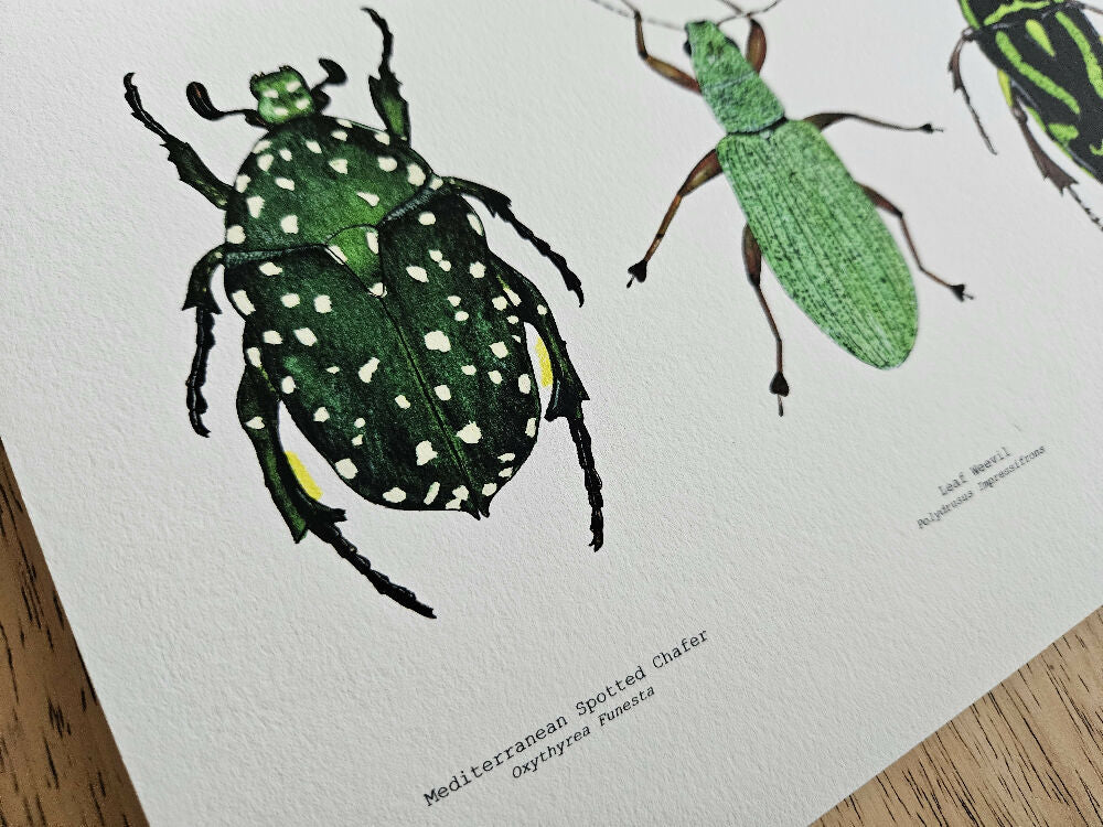 the fauna series - green bug trio