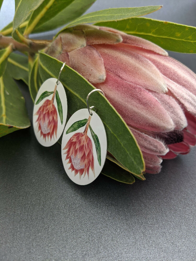 protea-earrings-Elk-prints-illustration (1)