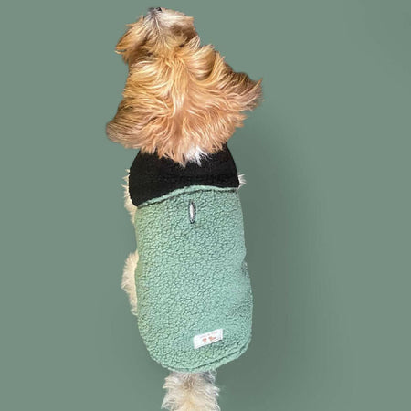 Standard dog coats for Puppy. Handmade Pet clothing/costume