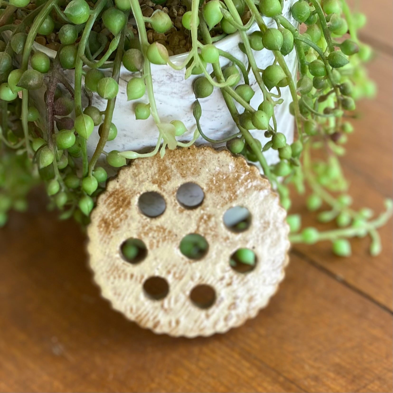 Flower Frogs for Jars / Ceramic/ Handmade Pottery