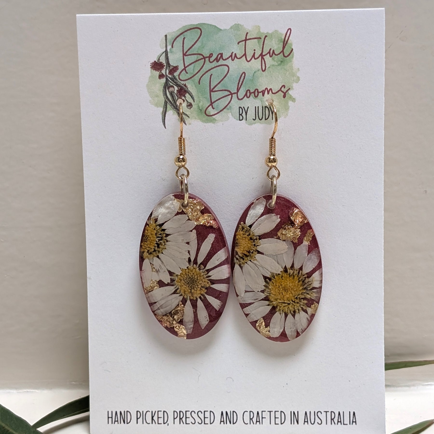 Real daisy earrings with merlot background