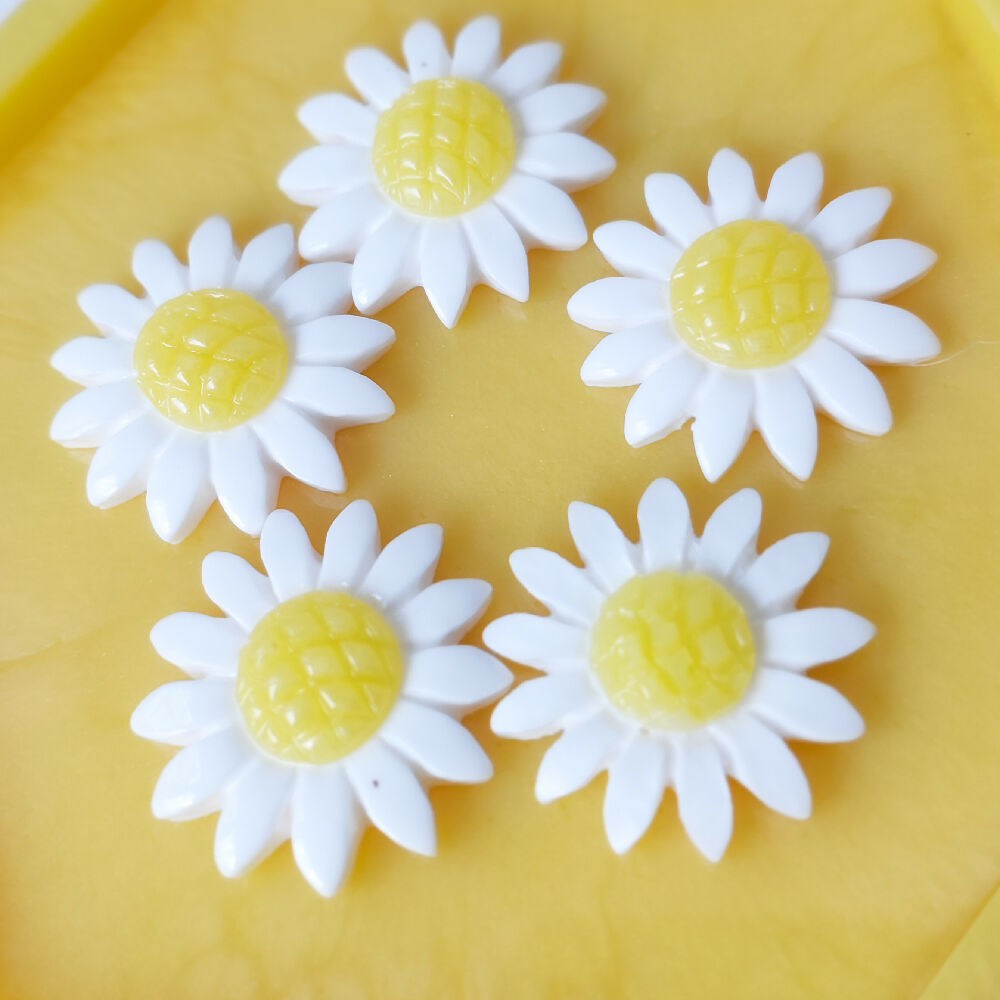 RM - Mini Daisies & Sunflowers