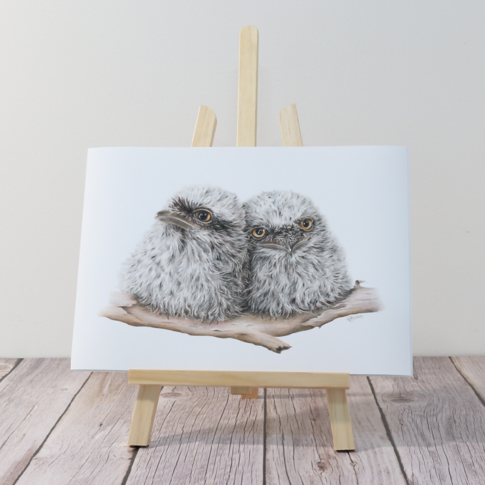 Australian-artist-wall-art-tawny-frogmouth-chicks-print