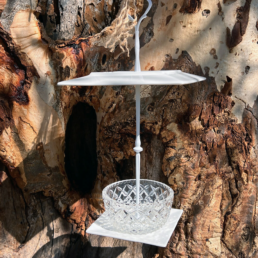 Bird-Feeder-1B