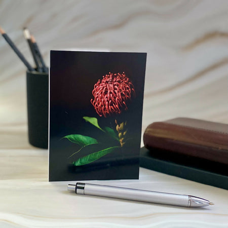 Australian Native Flower Card – Red Waratah