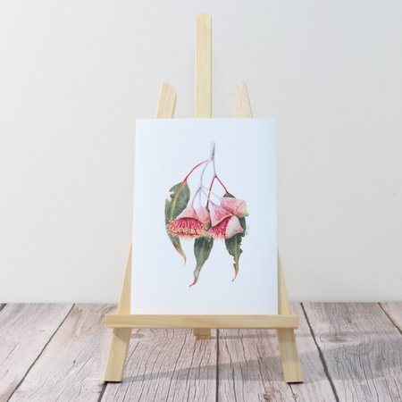 Wall Art Eucalyptus Gum Blossom A5 Print