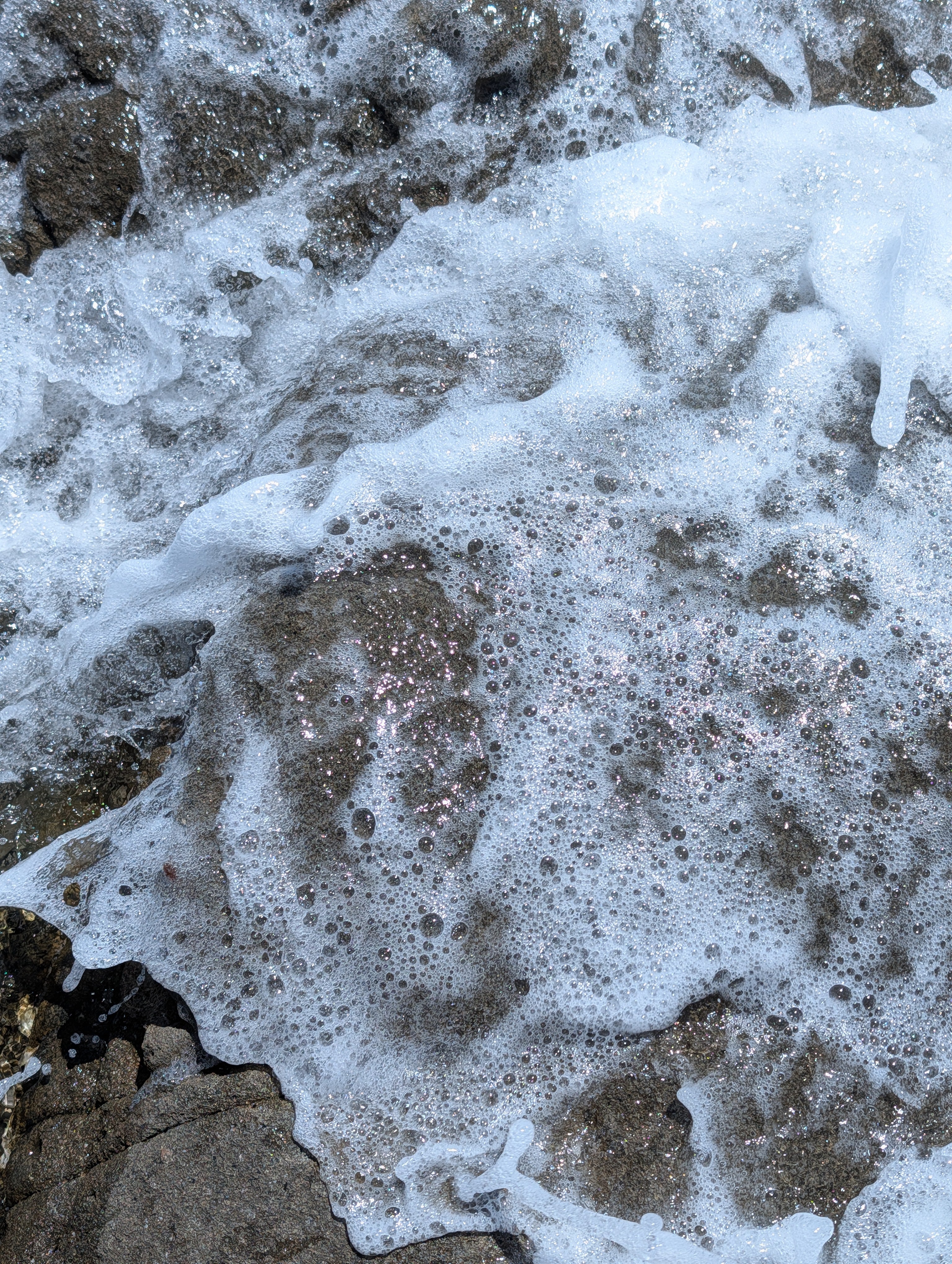 Ceramic Bowl |  Lux • Functional • Everyday