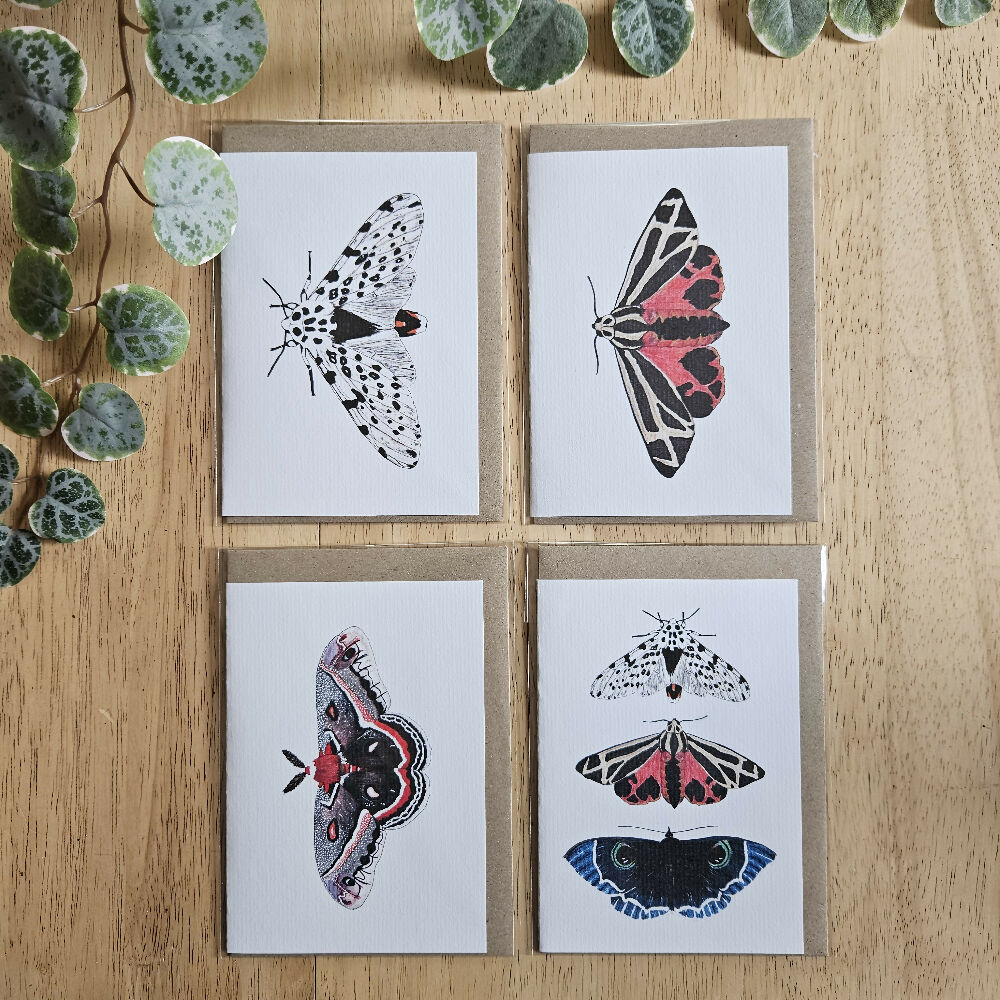 Watercolour Greeting Cards - Moths - Set of 4