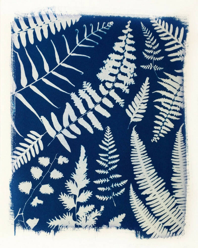 Fern Print, Original Cyanotype, 8x10 inches, Botanical Art Print