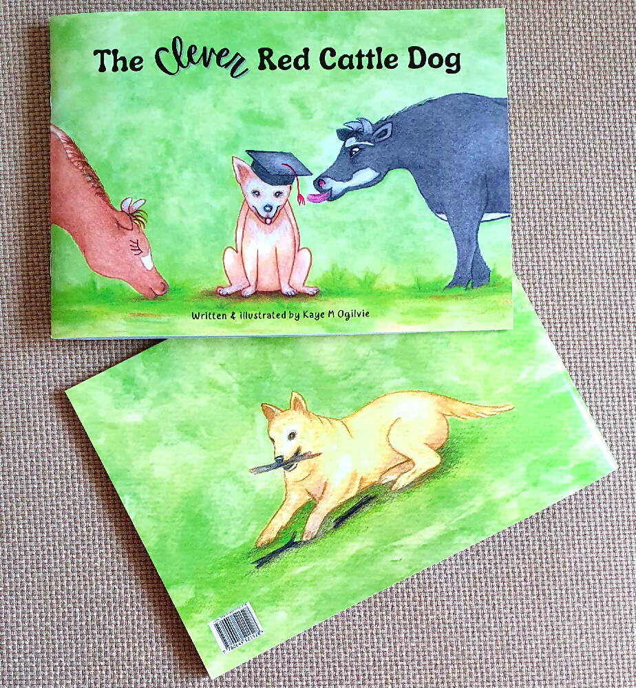 Hoondy cover new pic