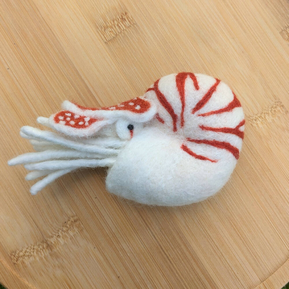 Wool Nautilus - Needle Felted Cephalopod Figurine