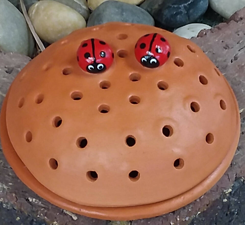 Mosquito Coil Holder with built in stand, Lady bug design