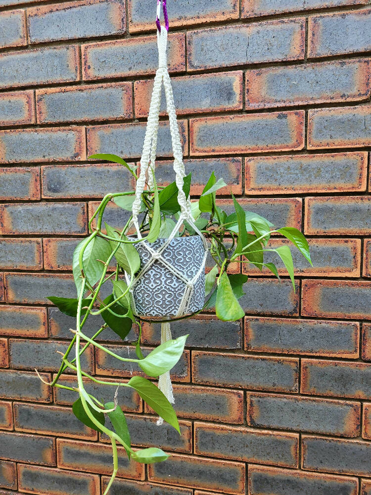 Upcycled Macrame Plant Hanger