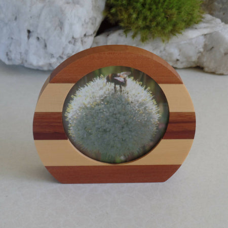 Small Rounded Photo Frame- Myrtle, Huon Pine & Blackwood