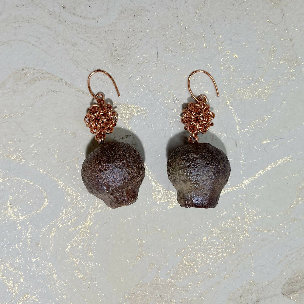 Gumnuts | Natural gumnuts with chainmaille units earrings