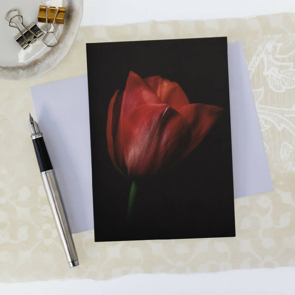 red-tulip-card-photography-by-tasha-chawner-1-2