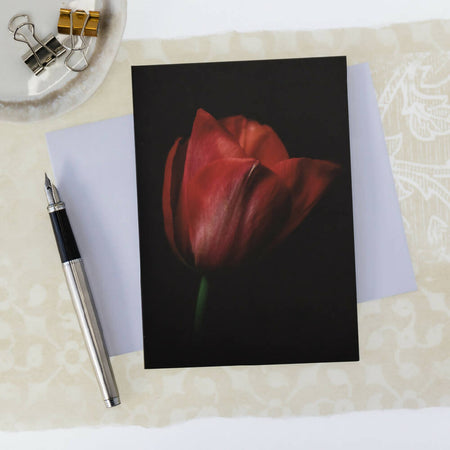 RED TULIP BLANK ART GREETING CARD - TULIP FEVER