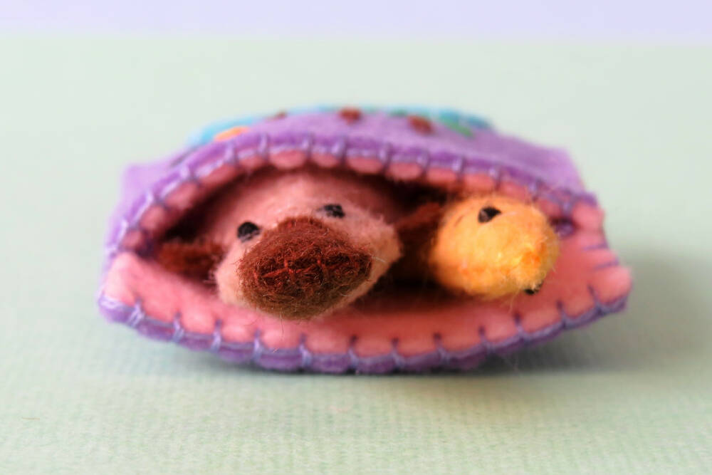 Platypus_tinbed-7