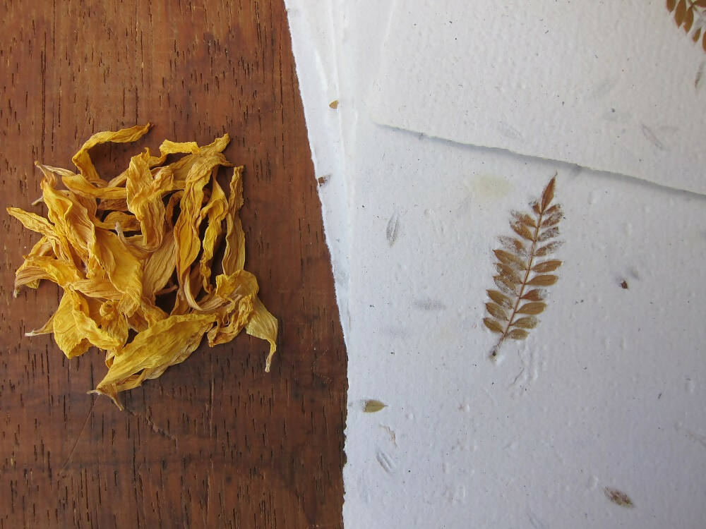 Handmade Paper with Jacaranda Leaves / Botanical Stationery / Craft Paper