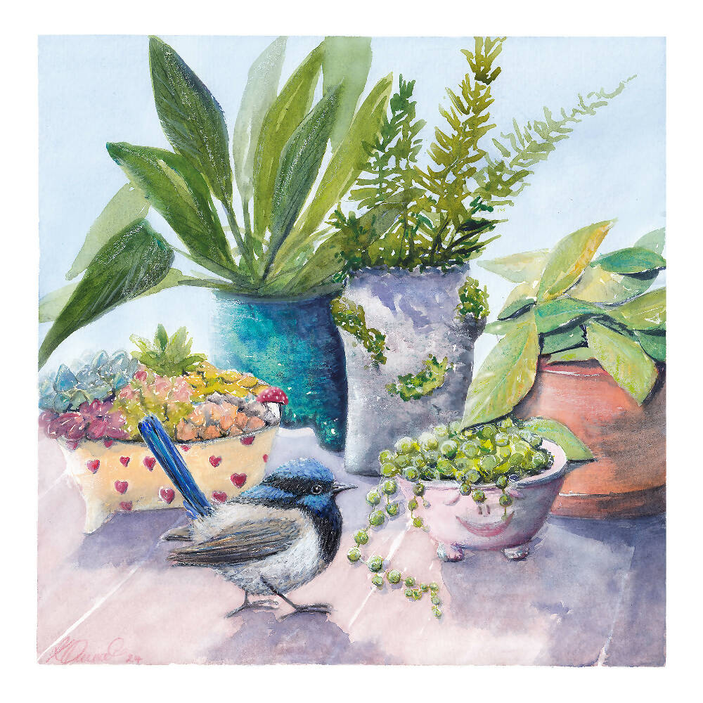 Blue Wren and Pot Plants Fine Art Print by Ark Hill Studio