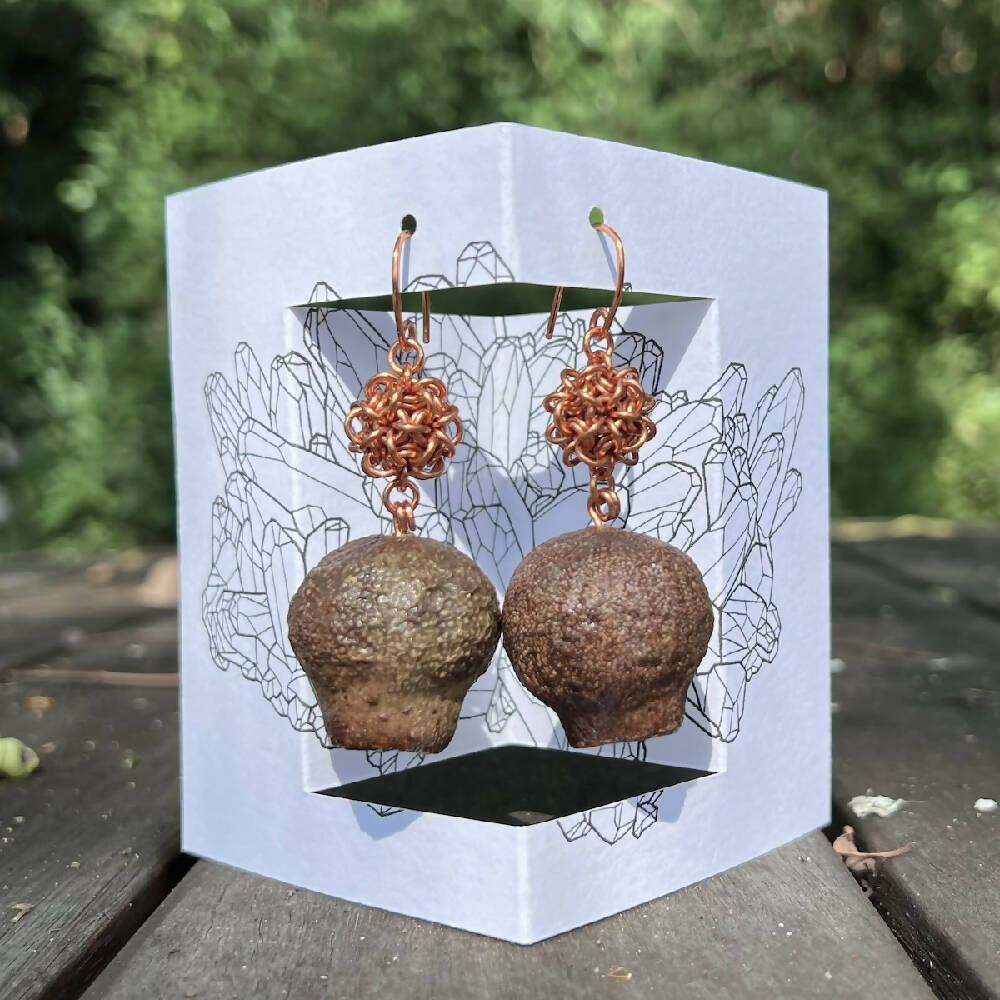 Gumnuts | Natural gumnuts with chainmaille units earrings