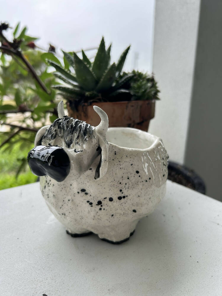 Cow Planter - Second