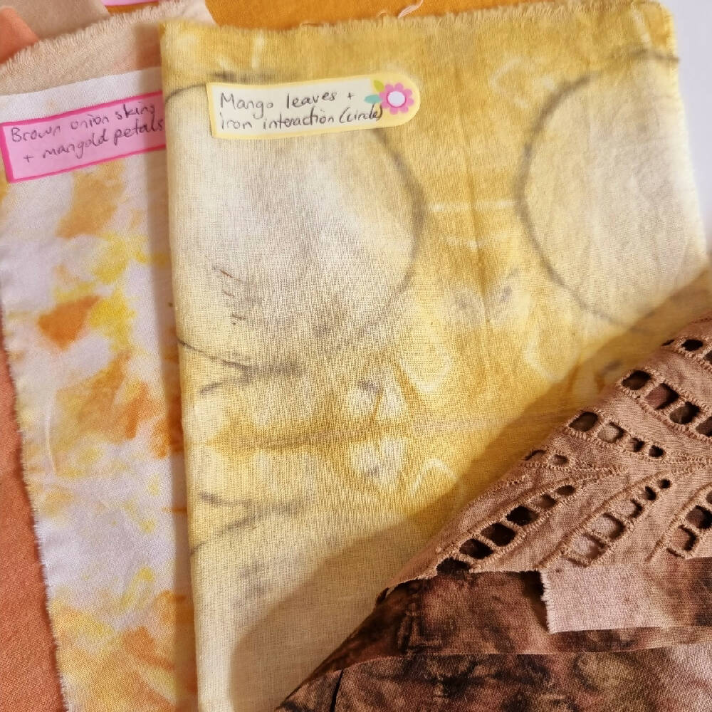 Hand-dyed Fabric - Naturally Dyed Fabric - Plant-Dyed Textiles