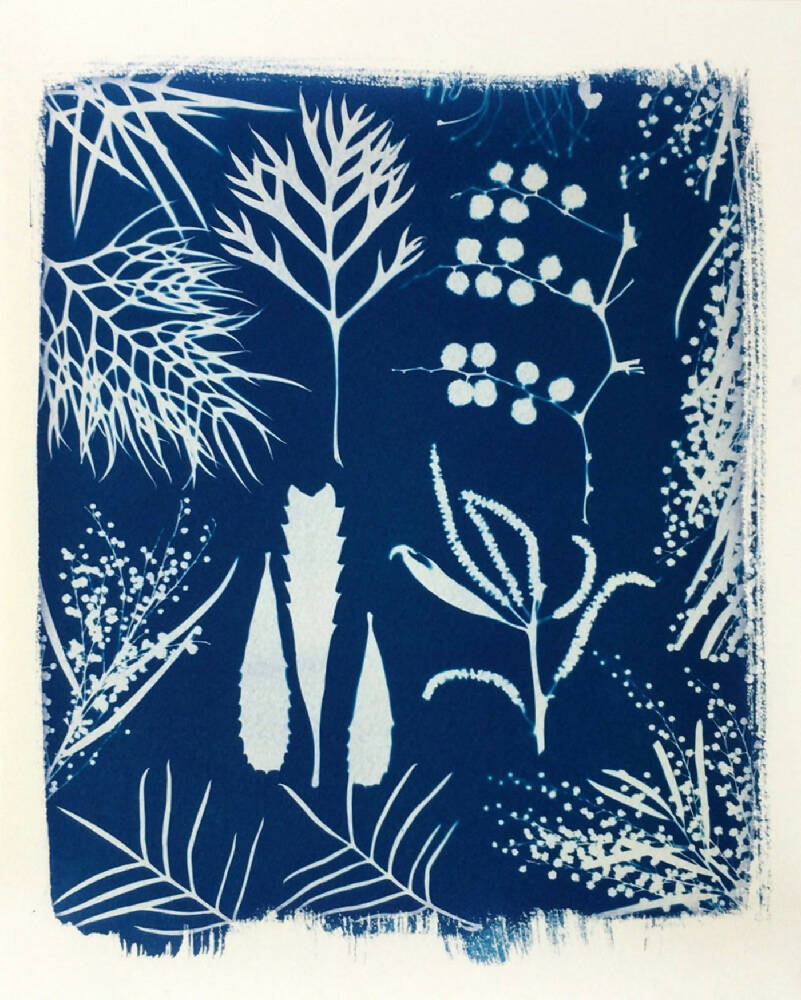 Native Flora Art Print, Original Cyanotype, 8x10 inches, Botanical Print