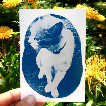 Cat Art Print, Postcard Sized Original Cyanotype, approx 4x6 inches