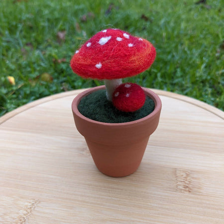 Needle Felted Toadstool in Pot