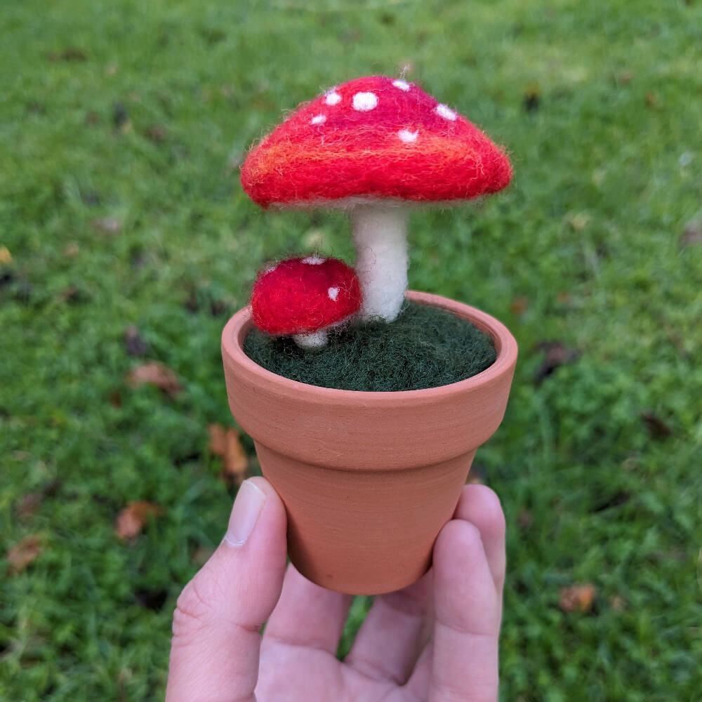 Needle Felted Toadstool in Pot