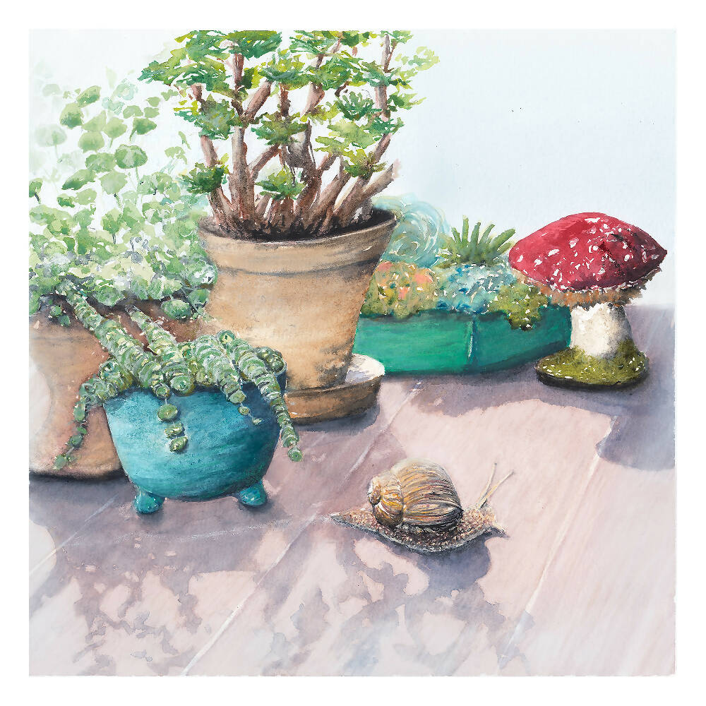 Succulent Temptation - Snail passing by a collection of potted succulents. Early morning shadows creeping across the Porch. Summer rain and fresh earth - a place to rest a while before the day begins.  Giclee Art Print created by Kathleen Quinert @ Ark Hill Studio
